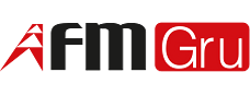 FMGru